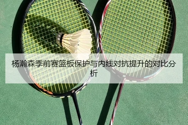 杨瀚森季前赛篮板保护与内线对抗提升的对比分析
